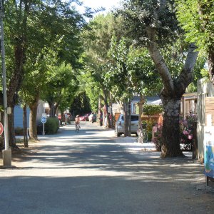 Camping Miramar - la londe les maures