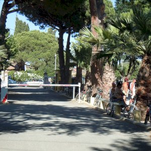Camping Miramar - la londe les maures