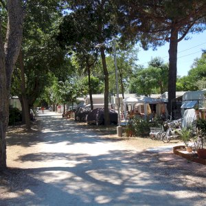 Camping Miramar - la londe les maures