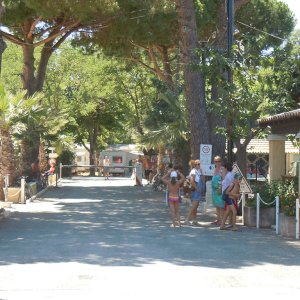Camping Miramar - la londe les maures