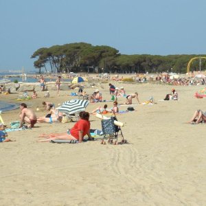 Camping Miramar - la londe les maures