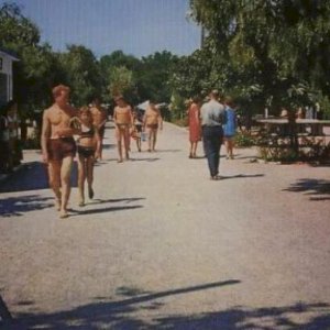 Camping Miramar - la londe les maures